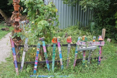 17-08-12_garten01