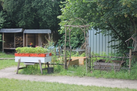 17-08-12_garten02