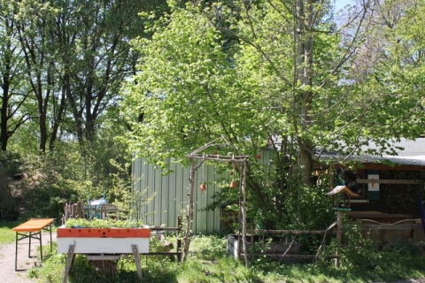 17-08-12_garten04
