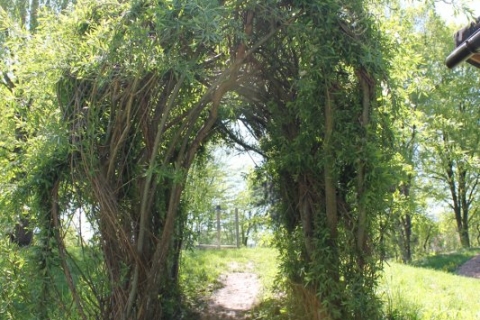 17-08-12_tunnel01